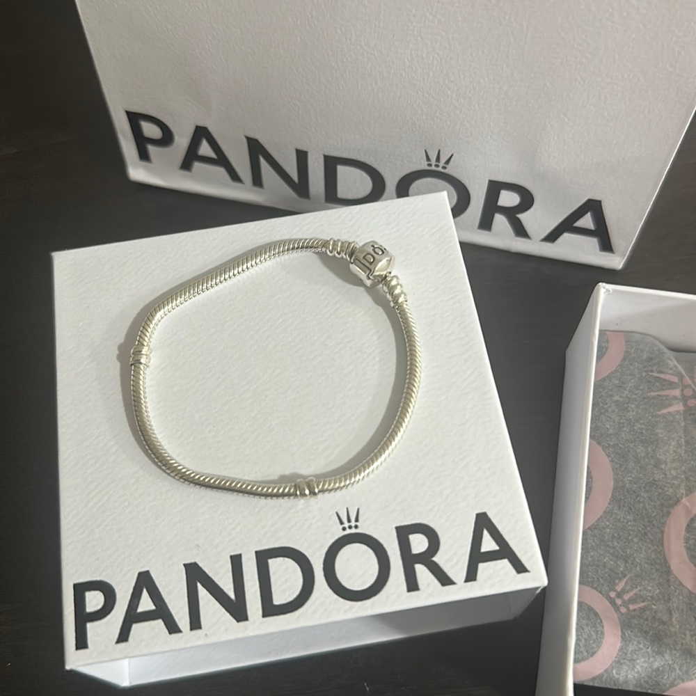 New pandora bracelet